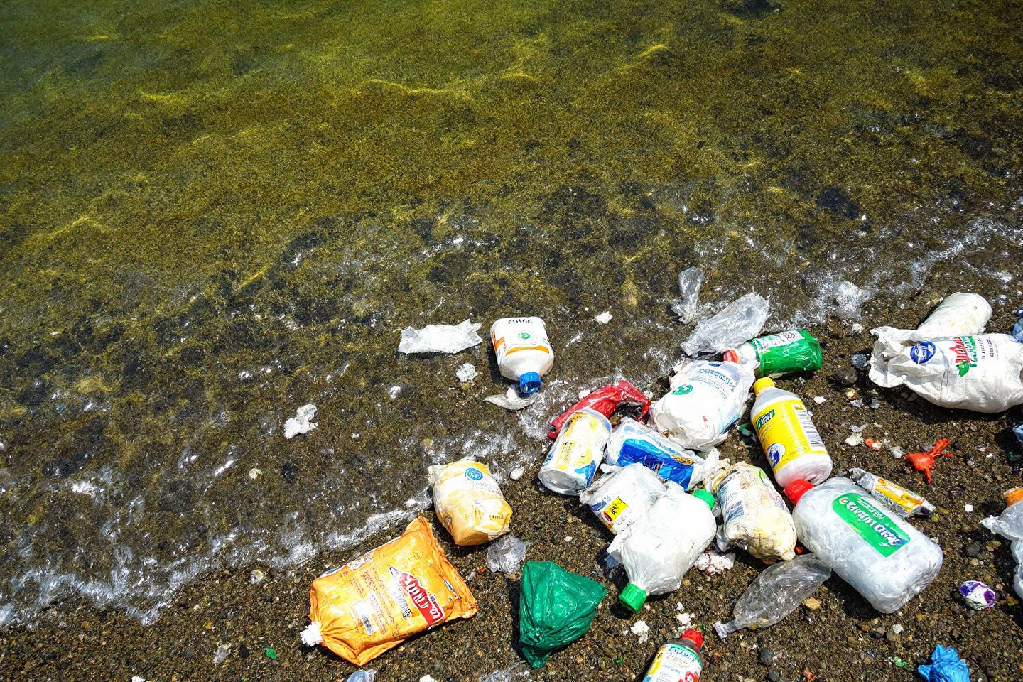 La pollution à Bali : causes, conséquences et solutions